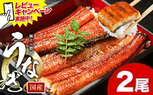 レビューキャンペーン実施中！ うなぎ 鰻 ご家庭用  2尾 (サイズ不選別：1尾当たり140g-180g) 福岡県産 鰻の蒲焼き 数量限定 株式会社HOMIE《11月上旬-11月末頃出荷》福岡県 鞍手郡 鞍手町 鰻 蒲焼き 数量限定 国産 蒲焼 うなぎ蒲焼