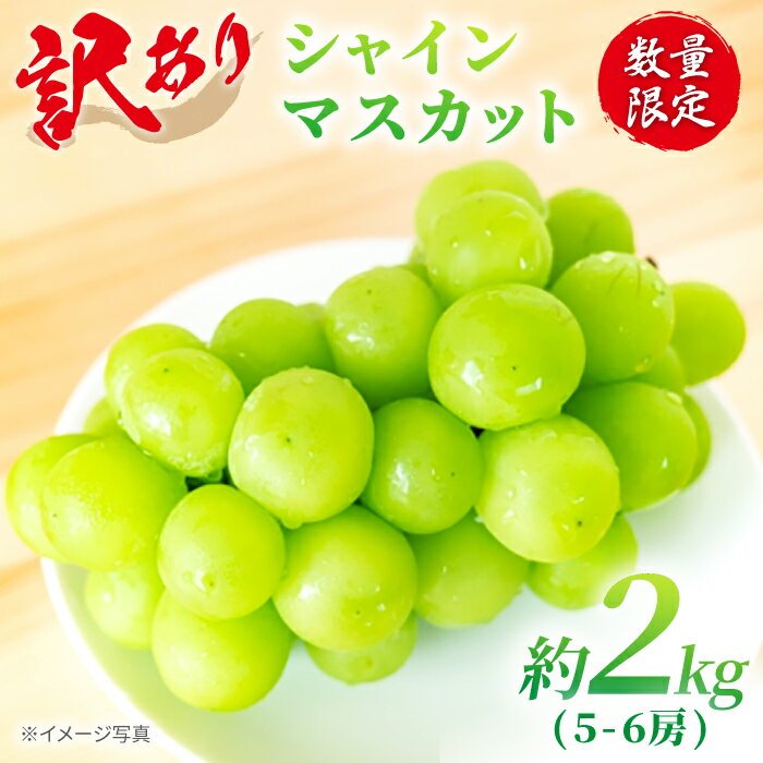 【ふるさと納税】【 訳あり 】 【糖度18以上！】 シャインマスカット 「西海シャイン物語」計2kg（5～6房）＜山田果樹園＞ [CCX006] ブドウ ぶどう シャイン マスカット 種なし 西海市産 不揃い 規格外