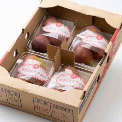 【先行受付】福岡ブランドいちじく「とよみつひめ」　約300g×4パック(大牟田市)【配送不可地域：離島・北海道・沖縄県・東北】