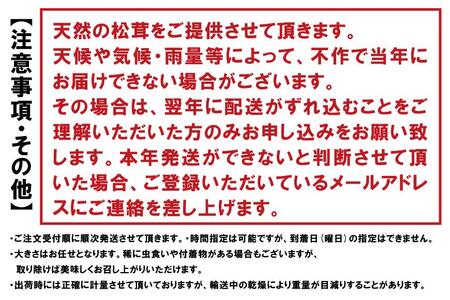 香り・歯応え・味ともに最高級！希少な国産松茸「高野松茸」200g【化粧箱入】【松茸 まつたけ 国産 高級】