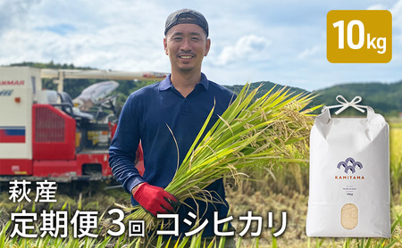 定期便 3か月 コシヒカリ 令和6年 10kg 米 コメ こめ 萩産 KAMITAMA