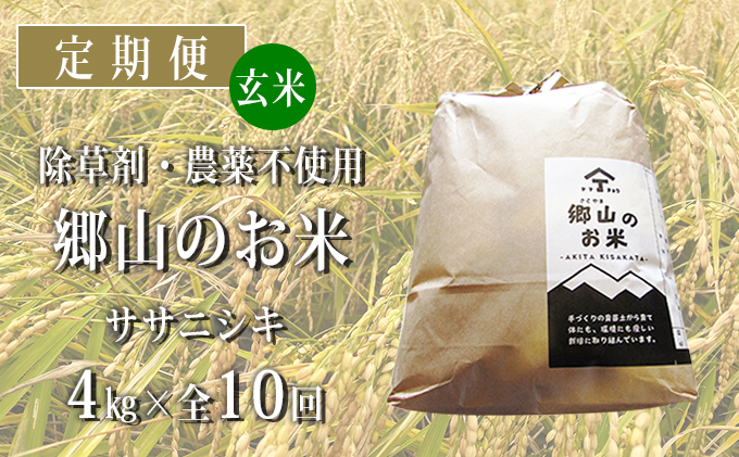 
定期便 4kg×10ヶ月 農薬・除草剤不使用 体に優しいササニシキ「郷山のお米」（2kg×2袋）
