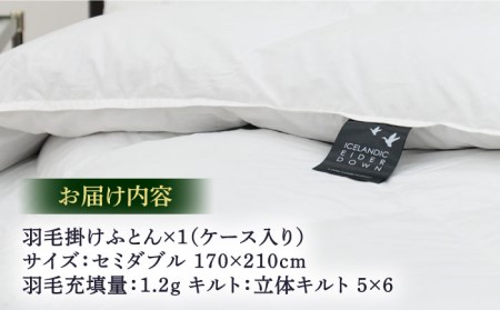 【至福の寝ごこち】セミダブル 掛け 羽毛布団 アイダーダウン×綿100％ ホワイト（精紡交撚 せいぼうこうねん）《壱岐市》【富士新幸九州】 [JDH079] 2400000 2400000円 240万