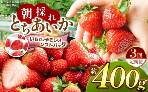 【先行予約】【定期3回】【栃木県共通返礼品】朝採れいちご とちあいか【いちごに優しいソフトパックでお届け】約400g | いちご とちあいか 定期便 たっぷり 大粒 新鮮 甘い 美味しい 果物 デザート 栃木県 那珂川町