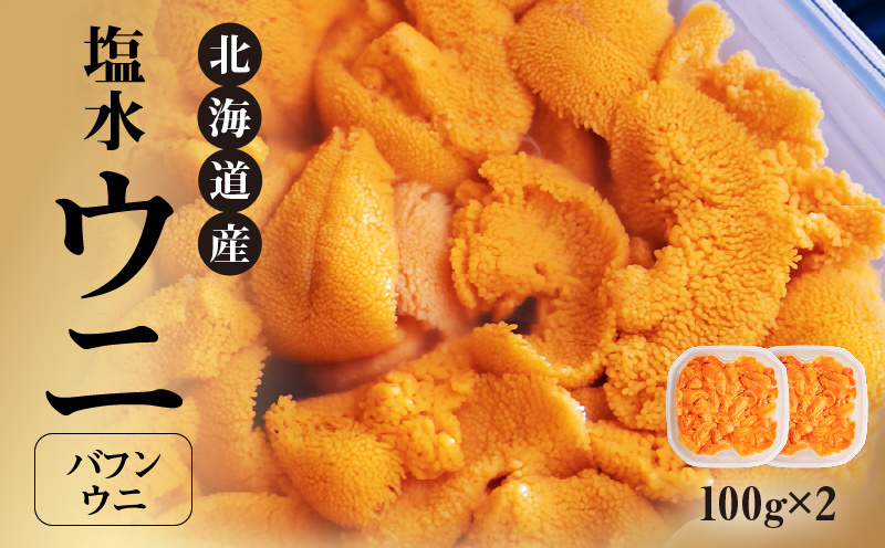 北海道産 世壱屋塩水ウニ（バフンウニ）200g_Y038-0141
