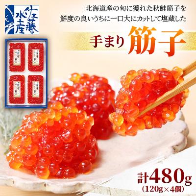 ふるさと納税 石狩市 佐藤水産の手まり筋子 480g(120g×4個)