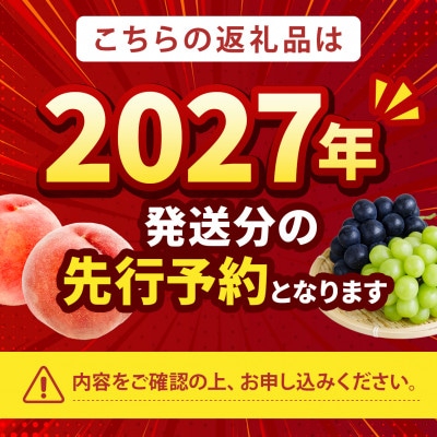 2027年先行受付【清涼感のある硬質甘み 夢みずき】本場山梨の品種指定約2kg　6月下旬より順次発送【配送不可地域：離島・北海道・沖縄県・中国・四国・九州】