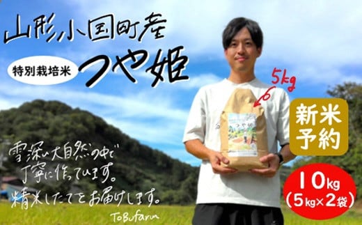 
【令和６年新米 先行予約】山形県小国町産　つや姫・10kg（5kg×2袋）
