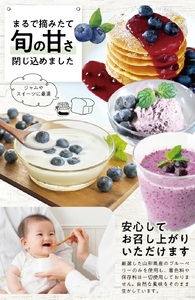 1177BB1500G　冷凍ブルーベリー1.5kg(500g×3袋)
