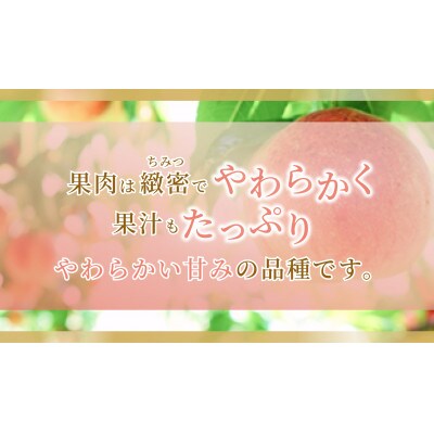 《2026年発送》岡山県産 白鳳 3kg 9〜12玉【配送不可地域：離島・北海道・沖縄県】【1736760】