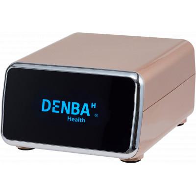 ふるさと納税 蓮田市 DENBA Health Standard　デンバヘルススタンダード