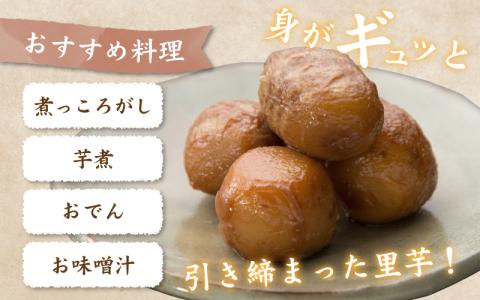 【先行予約】【訳あり】越前大野産 「純ちゃん農園の里芋3kg」サイズS～LL寸【10月中旬より順次発送】