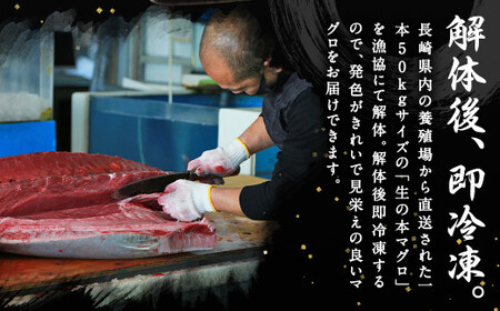 【3ヶ月定期便】長崎県産 本マグロ 赤身 300g 2人前～3人前 鮪 魚 刺身  【大村湾漁業協同組合】