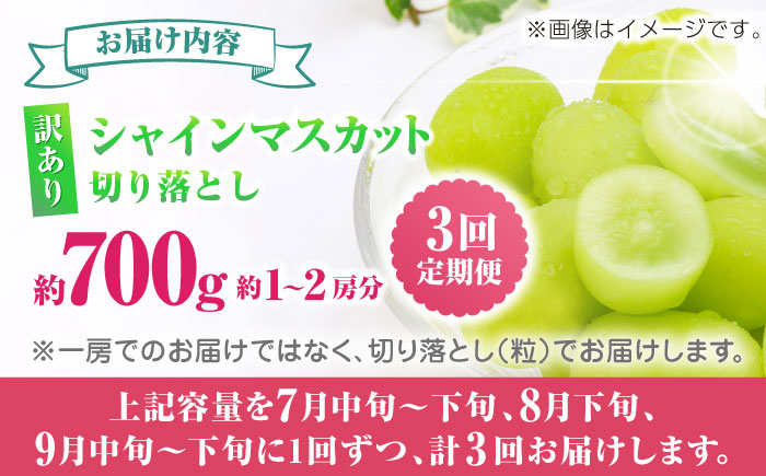 【先行予約】　【3回定期便】　訳あり シャインマスカット 切り落とし 約700g  【合同会社 社方園】 [ZBZ046]