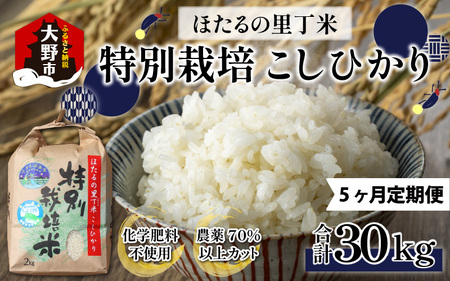 【令和6年産 新米】【5ヶ月定期便】ベストファーマー ほたるの里 特別栽培こしひかり 6kg（2kg×3） × 5回 計30kg 化学肥料不使用 農薬70％以上カット[E-002002]