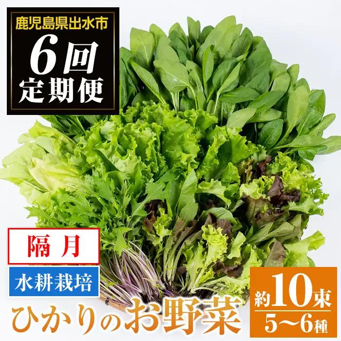 i678-A ＜定期便・計6回(隔月)＞ひかりのお野菜(約10束・5～6種) 野菜 やさい 葉物 旬 定期便 ほうれん草 水菜 チンゲン菜 小松菜 リーフレタス ルッコラ 水耕栽培 ミックスリーフ 山