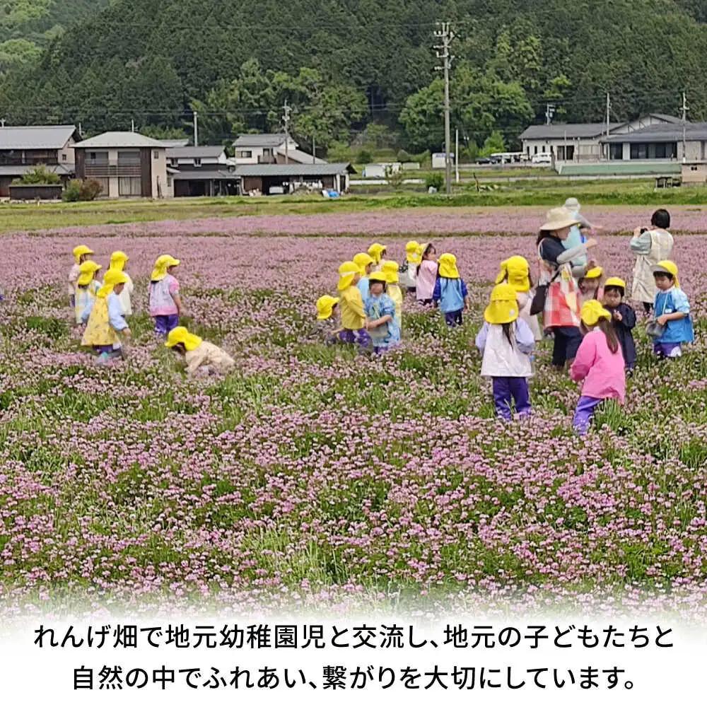 【12月中旬より発送】 みたけ のし餅 5合（約1kg）/餅 お餅 のしもち/御嵩町/株式会社アオキ[AVBN002]