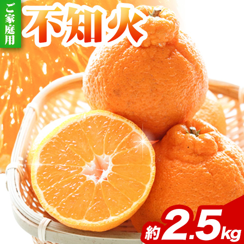家庭用 不知火2.5kg+250g(傷み補償分)【デコポンと同品種】【訳あり】 池田鹿蔵農園@日高町（池田農園株式会社）《2月上旬-3月末頃出荷》和歌山県 日高町 不知火 デコポン でこぽん【配送不可地域あり】