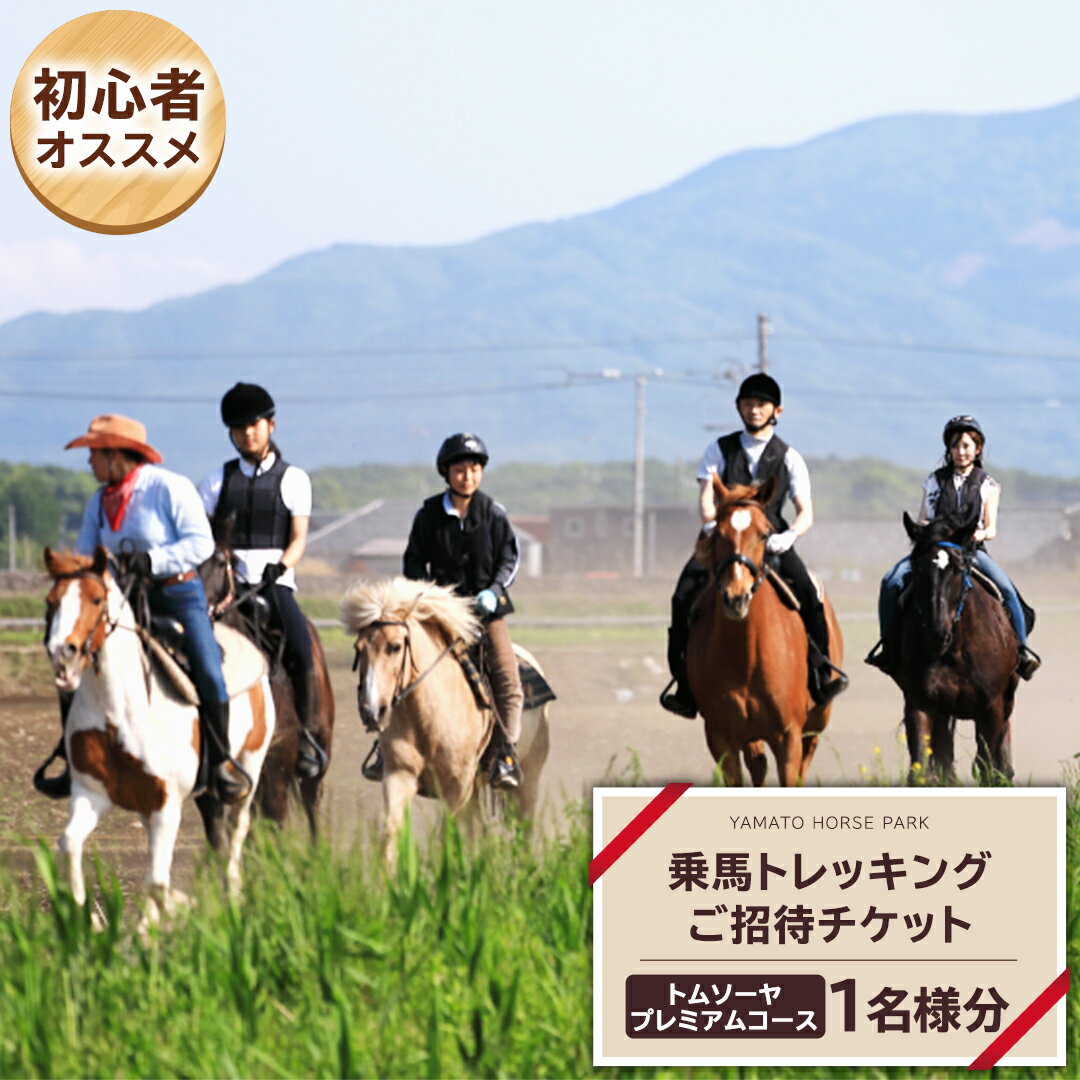 【ふるさと納税】《初心者おススメ》 トムソーヤ プレミアム コース 乗馬 トレッキング 体験チケット アウトドア