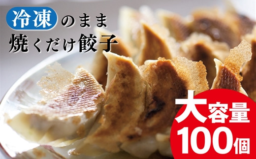 皮が違う！製麺屋さんの手包み餃子 100個 〈岩手県産豚肉100％使用/国産野菜使用〉
