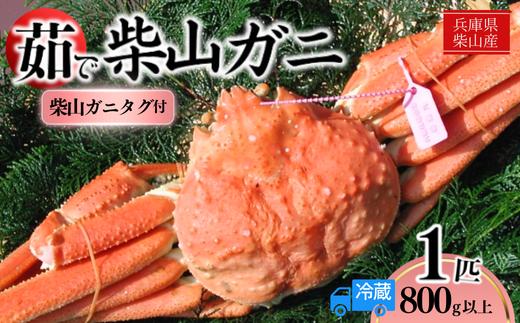 【先行予約】柴山産 茹で タグ付 柴山ガニ 1匹（約800g以上）冷蔵【令和8年11月中旬以降発送予定】 かに 香美町 37-07