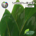 【ふるさと納税】［整形済］うたのぼりの笹の葉2Sサイズ100枚（20枚×5パック）【オホーツク枝幸】19.5cm×6cm　【雑貨・日用品・福祉用品】