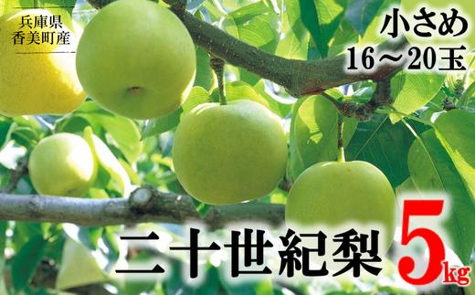 【先行予約】【梨 20世紀梨 香住梨 5kg 小さめサイズ（1玉250g～300gを16～20玉）】 8月下旬から発送 大人気 二十世紀梨 果肉はしっかり シャキシャキの食感 ほどよい甘さとみずみずしさ 日本海に面する梨の本場 兵庫県香美町で育つ「香住梨」 一つひとつの糖度を計測して出荷 味と品質へのこだわり 香美町 香住 20世紀 フルーツ ナシ 贈答 青梨 ふるさと納税 JAたじま 12-09