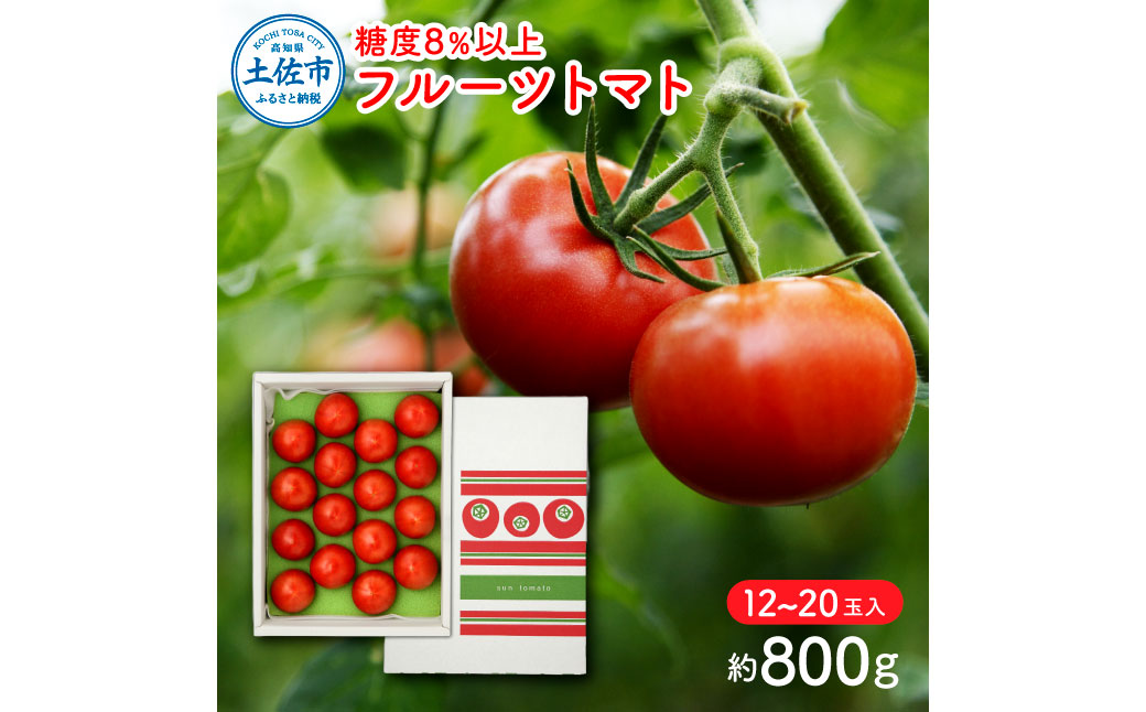 【先行予約】フルーツトマト（約800グラム） 12～20玉入り 