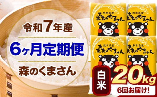【6ヶ月定期便】 令和7年産 白米  森のくまさん 20kg 5kg×4袋  《お申し込みの翌月から出荷》 熊本県産 白米 精米 米 こめ コメ お米 kome