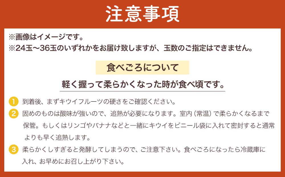 和歌山九度山町産 キウイフルーツ 約3.6kg (玉数おまかせ 24玉～36玉のいずれか 秀品)★ 2025年1月上旬頃より順次発送