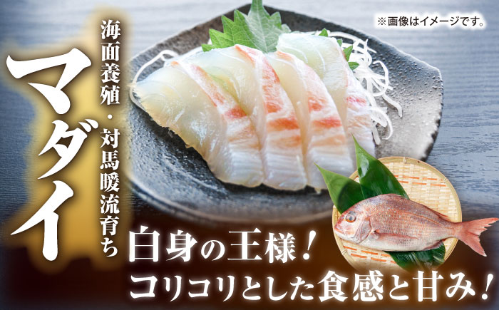 【壱岐島直送】プレミアム海鮮4種食べ比べ刺身セット≪壱岐市≫【なかはら】 冷凍配送 小分け 産地直送 刺し身 寿司 海鮮 [JDT081]