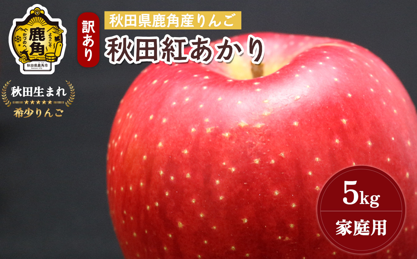
                  《先行予約》 秋田県鹿角産りんご 雪国育ちの 訳あり「秋田紅あかり」家庭用 5kg（13～18玉入）【山麓園】●2026年11月上旬発送開始 鹿角りんご 家庭用 食感 果汁 リンゴ 完熟 旬 県産 りんご お中元 お歳暮 贈り物 グルメ ギフト 故郷 秋田 あきた 鹿角市 鹿角 送料無料 
                
