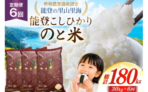 米 令和7年 のと米 能登こしひかり 30kg 6回 定期便 [能登わかば農業協同組合 石川県 中能登町 nk17bth130016] こしひかり コシヒカリ 定期 6ヶ月 30キロ お米 ブランド米 国産 国産米 能登米 ごはん ご飯 白飯 飯  白米 こめ コメ おこめ okome kome 令和7年産 ふるさと納税