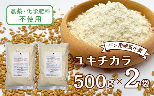 
            農薬・化学肥料不使用 オータニ農業の『ユキチカラ』小麦粉(中力粉) 500g×2袋(537) 国産 手作り パン お菓子
          