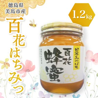 ふるさと納税 美馬市 徳島県馬市産日本はちみつ　百花はちみつ　1200g