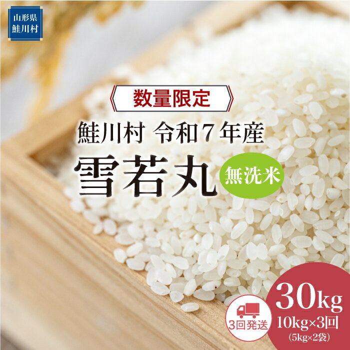 【ふるさと納税】数量限定！＜令和7年産米＞ 鮭川村 はえぬき 【無洗米】30kg定期便 （10kg×3回）＜配送時期選べます＞