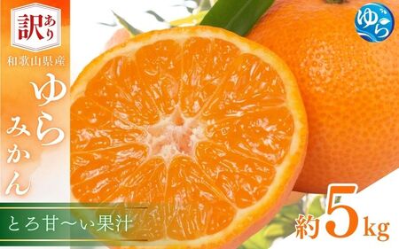 訳あり ゆら みかん 5kg (温州みかん)※2025年11月下旬～順次発送【fmlb089-12】 