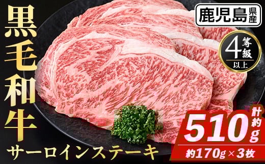 
                  i1331 鹿児島県産 黒毛和牛 サーロインステーキ(約170g×3枚・計約510g) 国産 九州産 鹿児島産 黒毛和牛 牛肉 国産牛 サーロイン ステーキ 冷凍配送 【スターゼン】
                