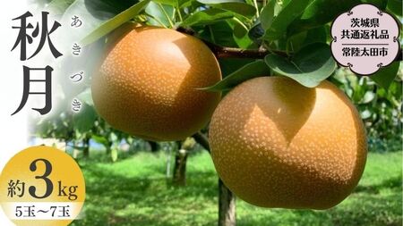 【2026年9月中旬発送開始】 茨城県産 梨 「 秋月 」 約 3kg 5玉 ～ 7玉【茨城県共通返礼品／常陸太田市】[DU009sa]