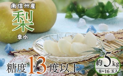 2023年先行予約 梨 幸水 南信州産 8～16玉 瑞々しい果肉とコクのある甘み