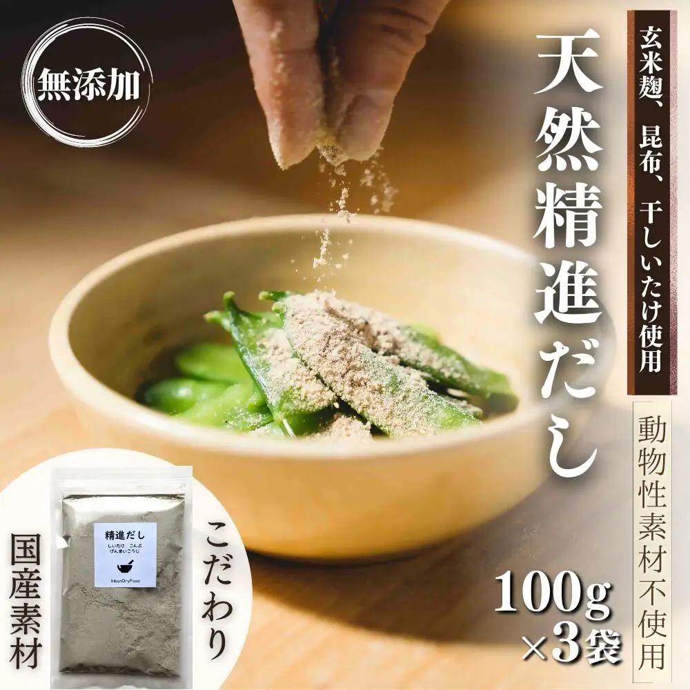 天然精進だし（昆布・しいたけ・玄米麹）100g×3袋 | だし 出汁 ヴィーガン