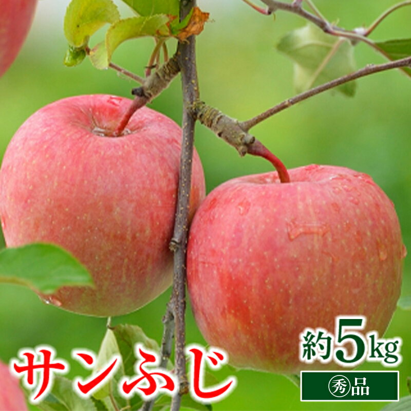 【ふるさと納税】 【令和8年産先行予約】 〈家庭用〉 りんご 「サンふじ」 約5kg (13～18玉 マル秀) パック詰め 《令和8年11月中旬～発送》 『マルタニ農園』 リンゴ 山形県 南陽市 [1281]