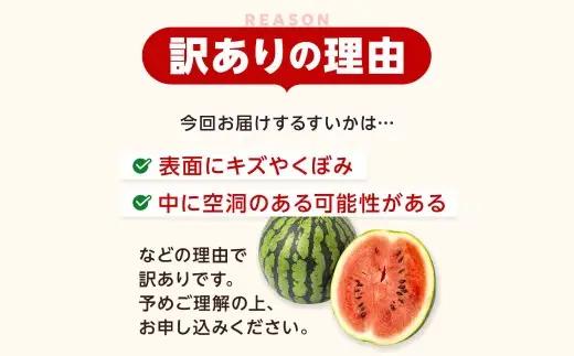 訳あり 小玉スイカ 1玉 スイカ すいか くだもの 果物 フルーツ 果実 果汁 果肉 国産 熊本県産 旬 【 2026年7月上旬～下旬発送予定 】
