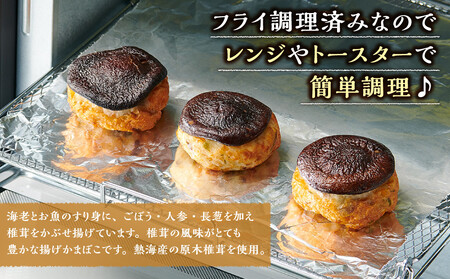 ≪真空≫しいたけ坊ちゃん丸 4P