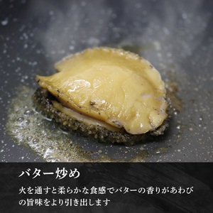 あわび 刺身用 2パック 冷凍 ＼ あわび ／