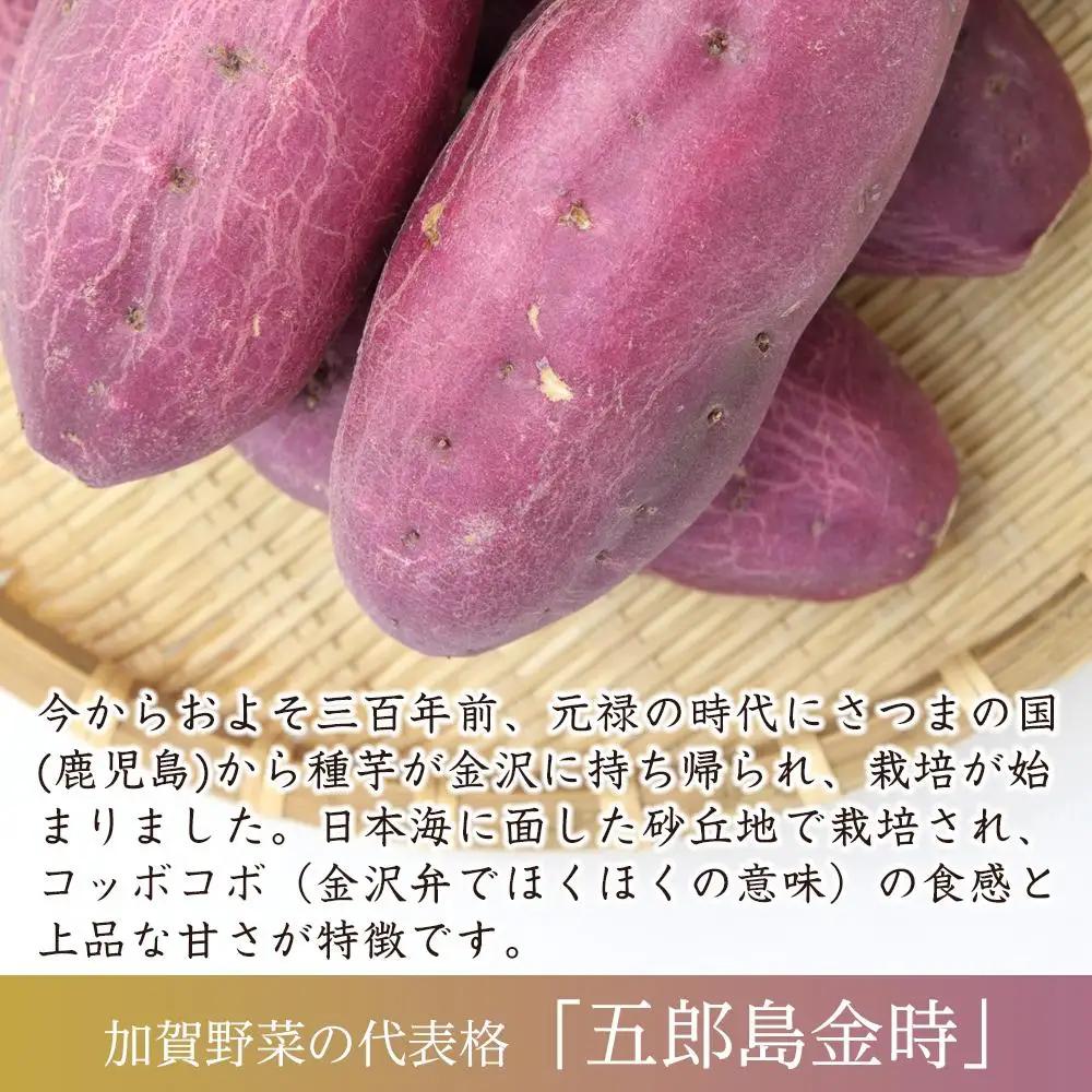 【先行予約】JA金沢市 五郎島金時 秀品5kg｜加賀の伝統野菜・人気のさつまいも ほくほく甘い