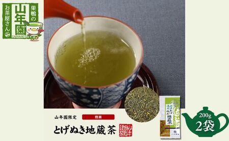 掛川深蒸し茶 とげぬき地蔵茶 緑茶【200g×2袋】