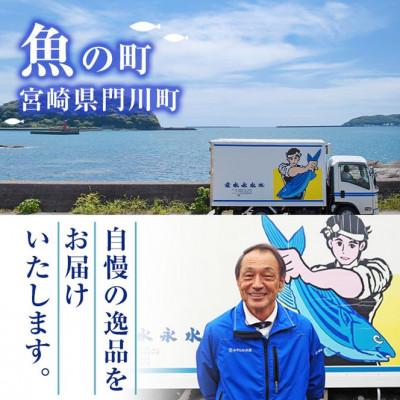 ふるさと納税 門川町 ソフトさきいか(100g×6パック・計約600g) |  | 03