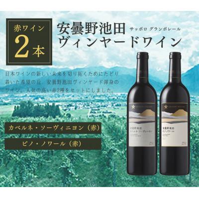 ふるさと納税 池田町 サッポログランポレール 安曇野池田ヴィンヤードワイン赤2種セット(750ml×各1本)