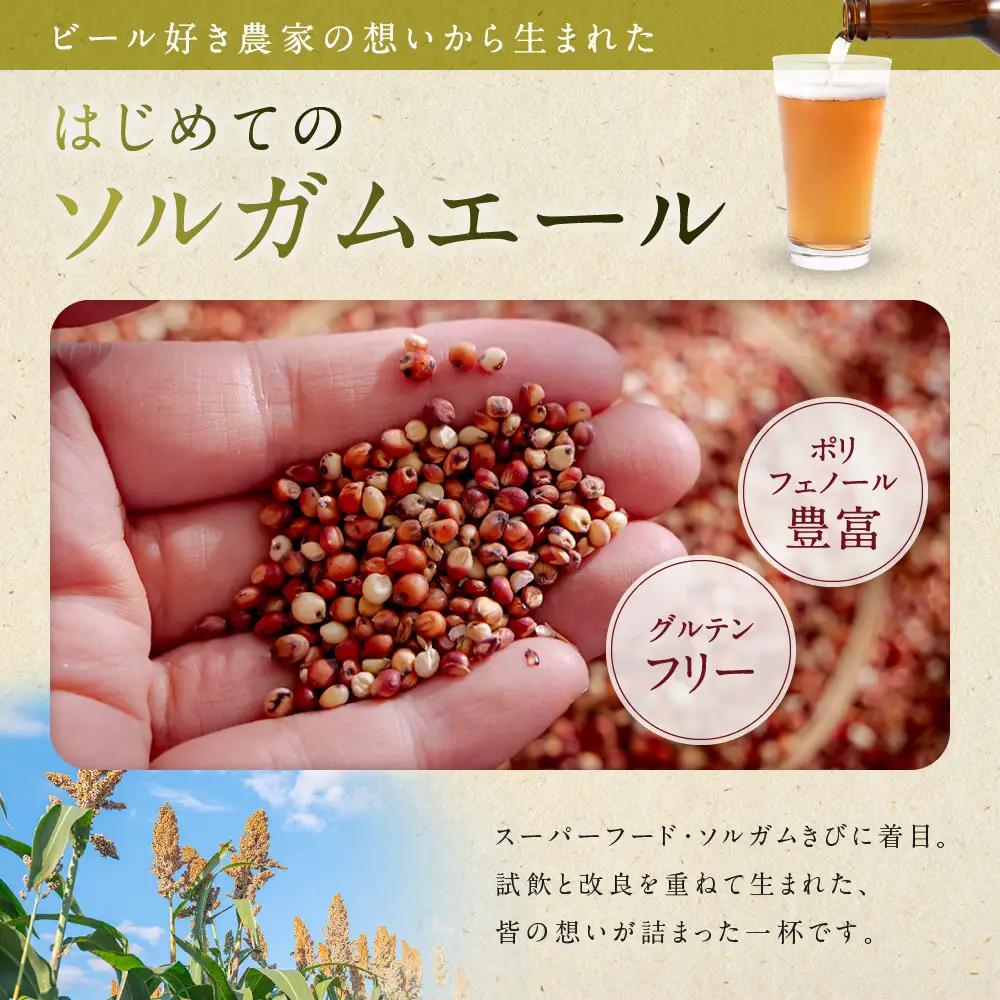 信州ソルガムエール煌り(きらり)　6本セット